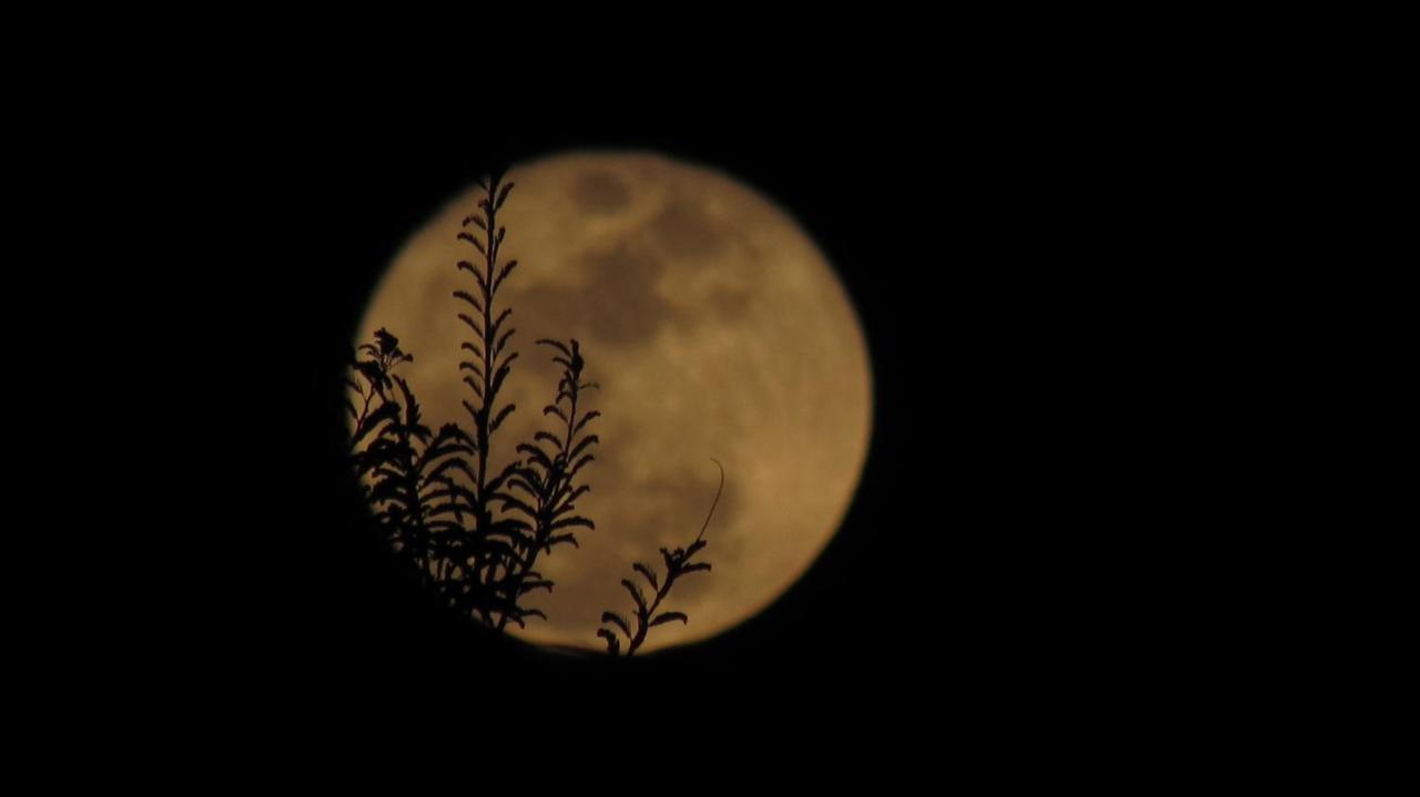 Pousada Thalud Imbassai Exteriér fotografie